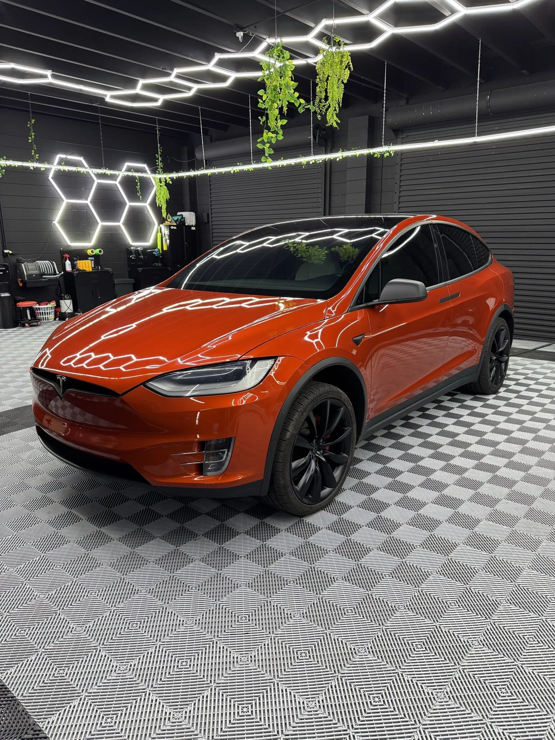 Model X