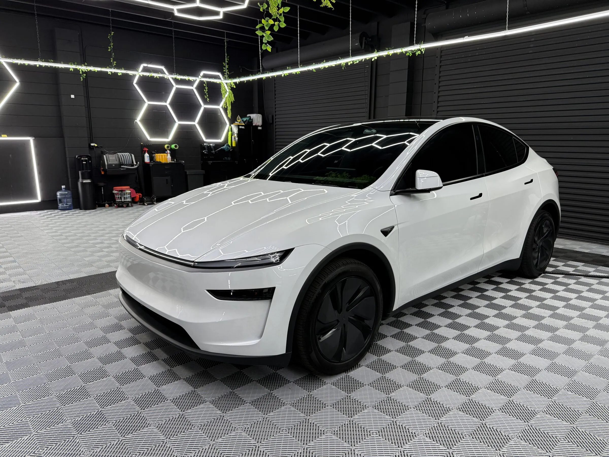 Model Y