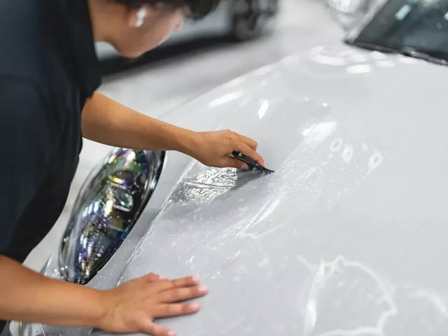 protecting your vehicle in Sarasota blog post image